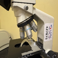 VWR Microscope image 0